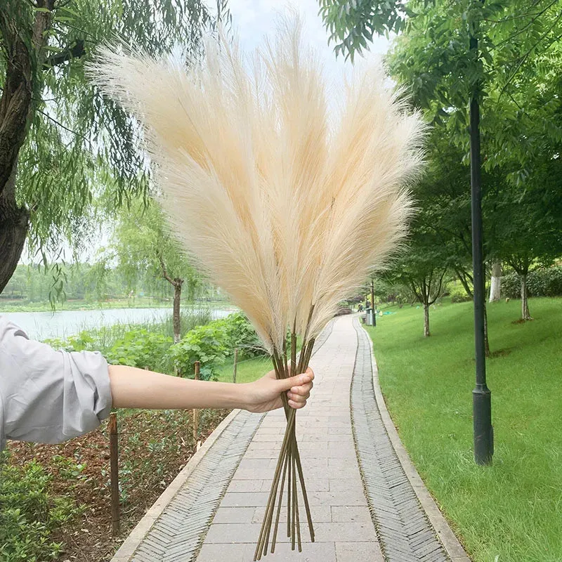 5pcs 100cm Artificial Pampas Grass Dried Reed Flowers Bouquet Wedding Party Decoration Home Room DIY Fake Plant Decor Supplies