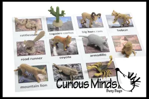 Animal Match - DESERT - Miniature Animals with Matching Cards - 2 Part Cards.  Montessori learning toy, language materials - Desert Animals
