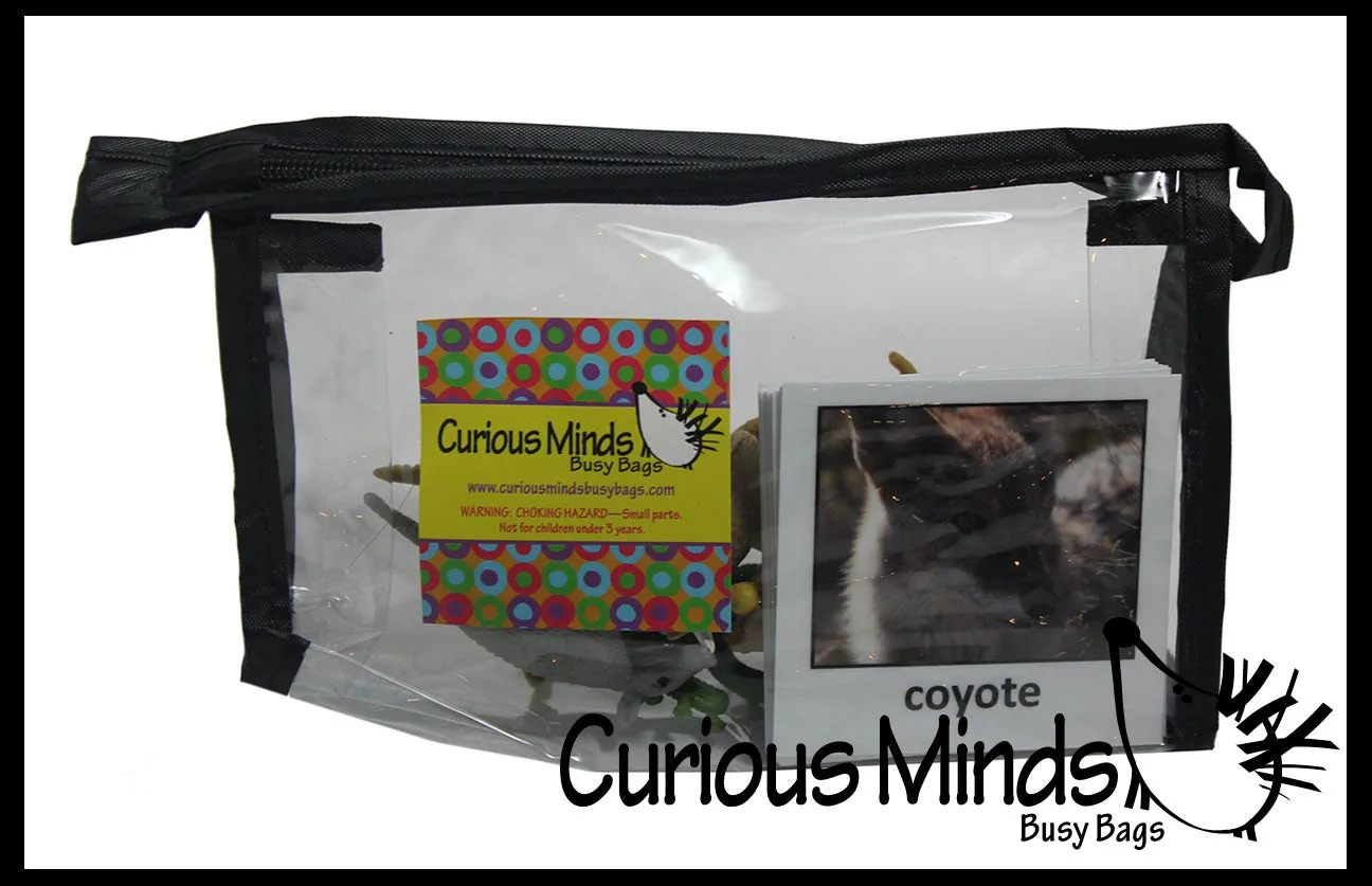 Animal Match - DESERT - Miniature Animals with Matching Cards - 2 Part Cards.  Montessori learning toy, language materials - Desert Animals