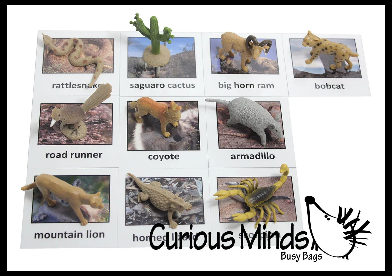 Animal Match - DESERT - Miniature Animals with Matching Cards - 2 Part Cards.  Montessori learning toy, language materials - Desert Animals