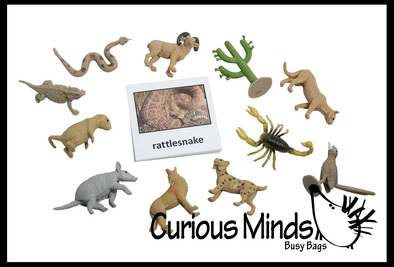 Animal Match - DESERT - Miniature Animals with Matching Cards - 2 Part Cards.  Montessori learning toy, language materials - Desert Animals