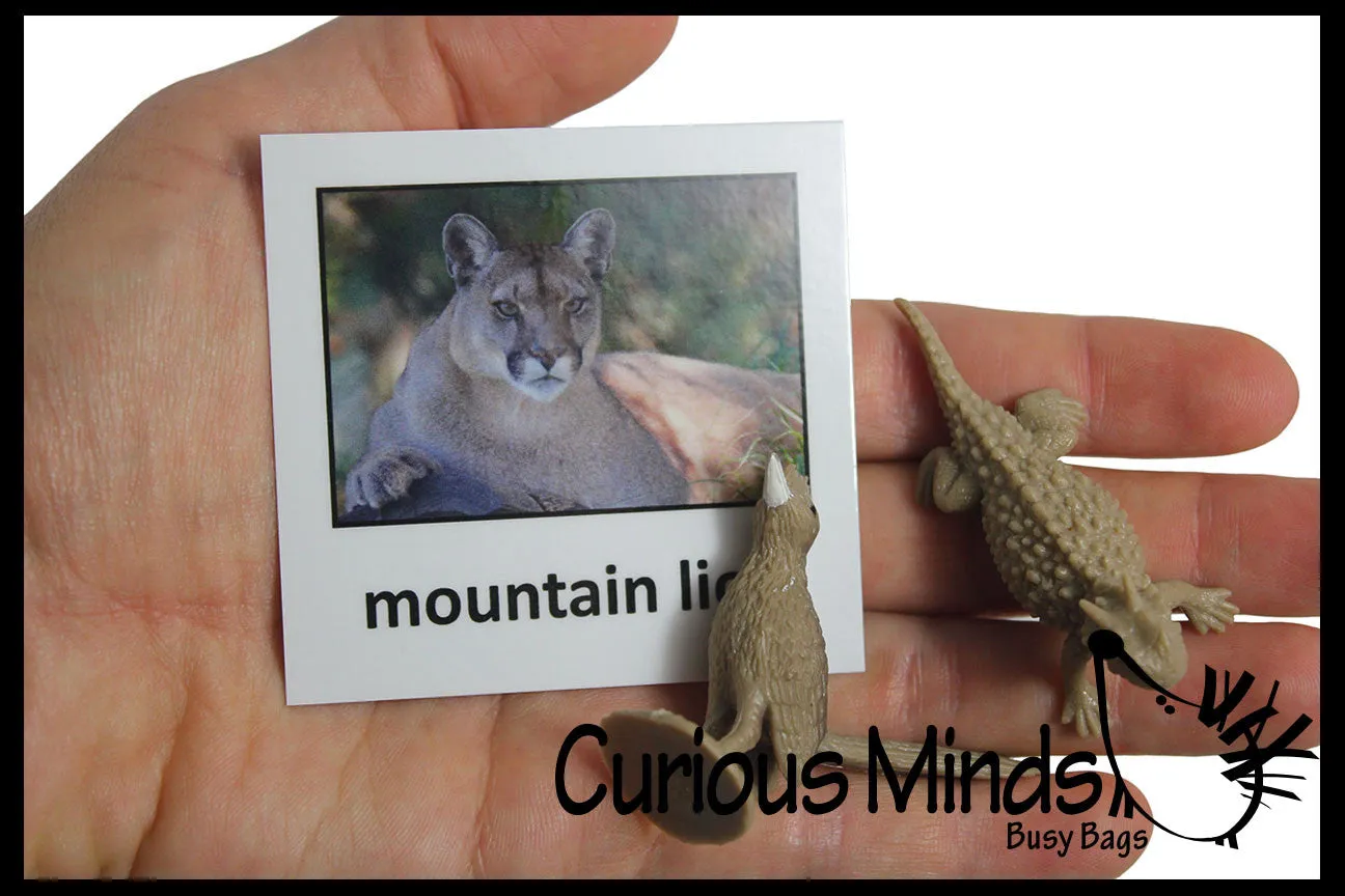 Animal Match - DESERT - Miniature Animals with Matching Cards - 2 Part Cards.  Montessori learning toy, language materials - Desert Animals