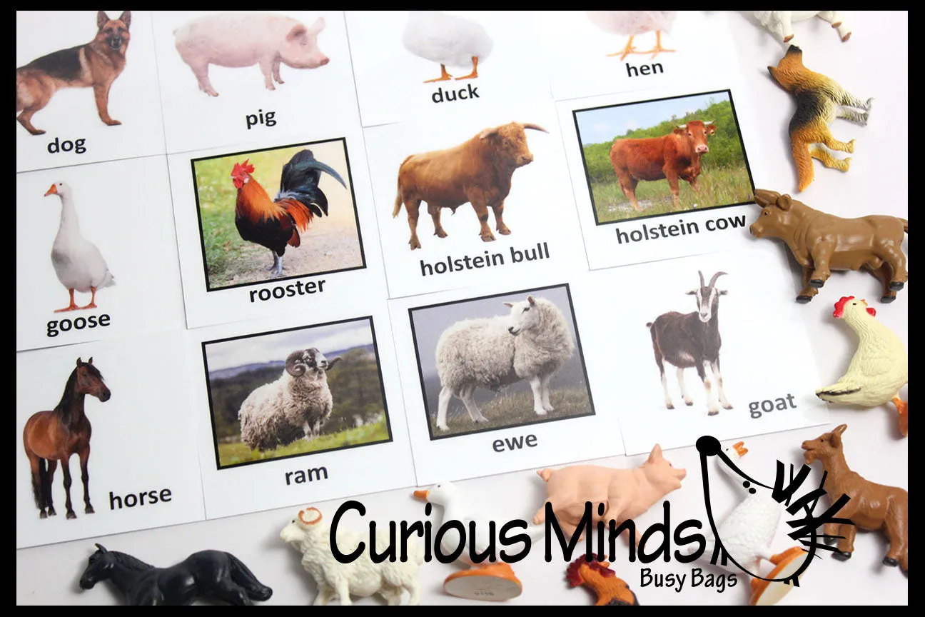 Animal Match - FARM - Miniature Animals with Matching Cards - 2 Part Cards.  Montessori learning toy, language materials - Farm Animals