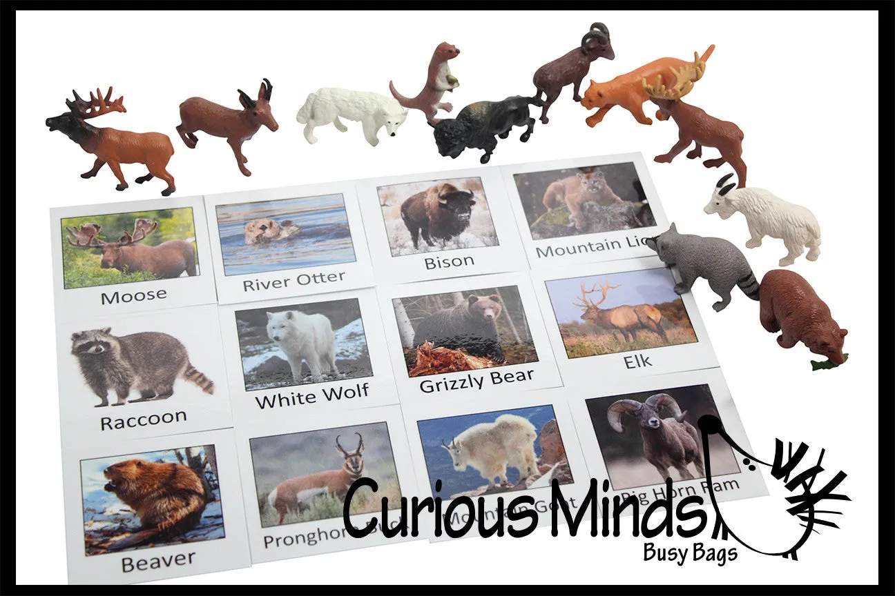 Animal Match - North American - Miniature Animals with Matching Cards - 2 Part Cards.  Montessori learning toy, language materials - North American Wildlife Animals