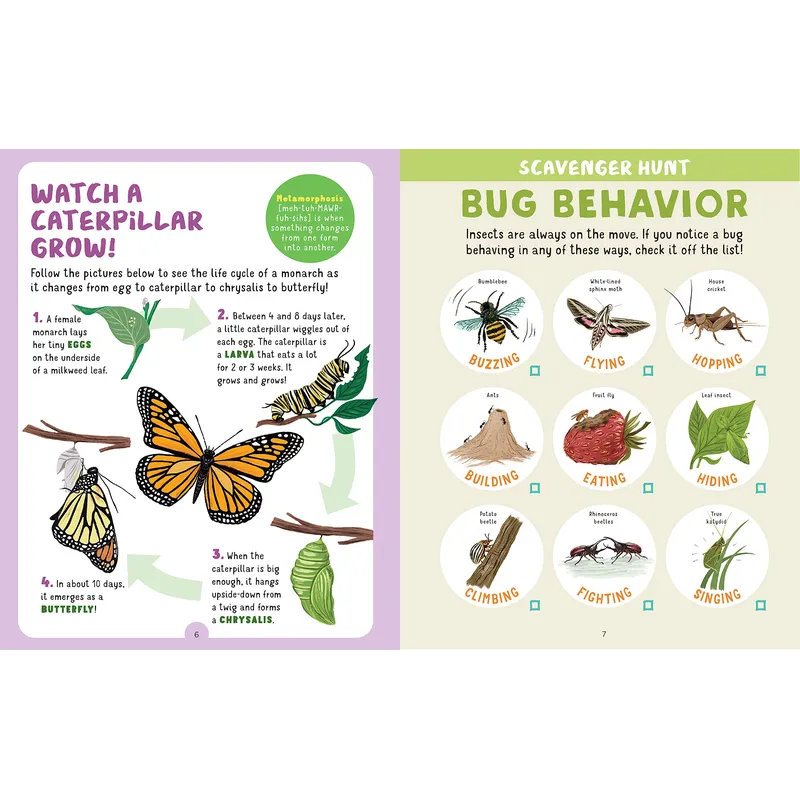 Backpack Explorer: Bug Hunt
