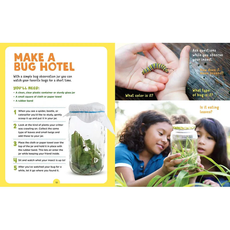 Backpack Explorer: Bug Hunt