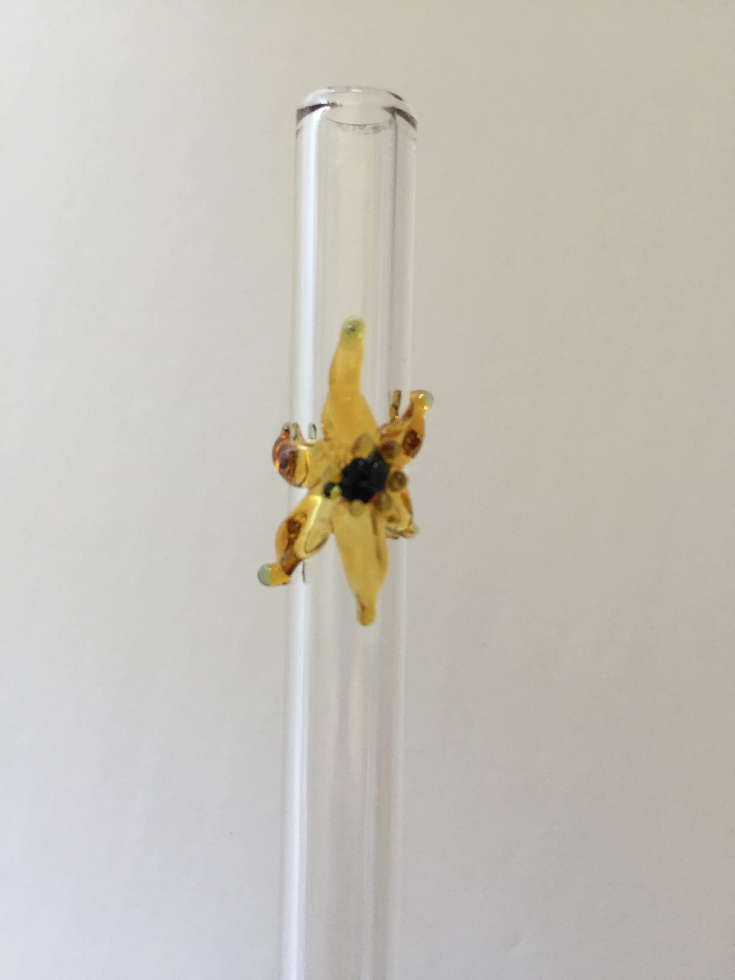 Blown Glass Straw - Transparent with Stars