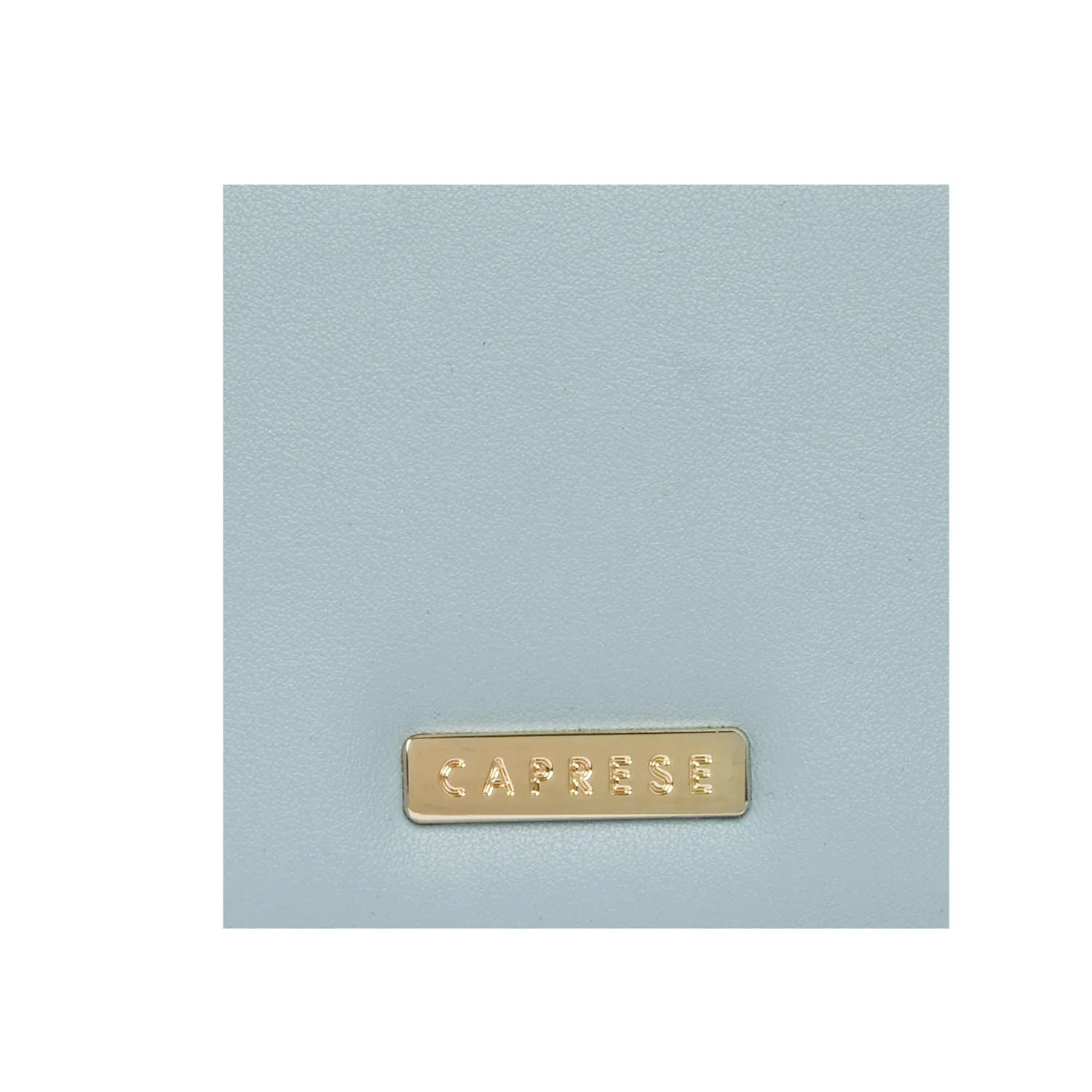 Caprese Remy Flap Wallet Large Blue