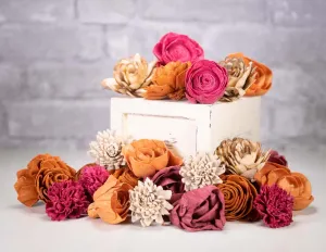 Cayenne Cove Assortment
