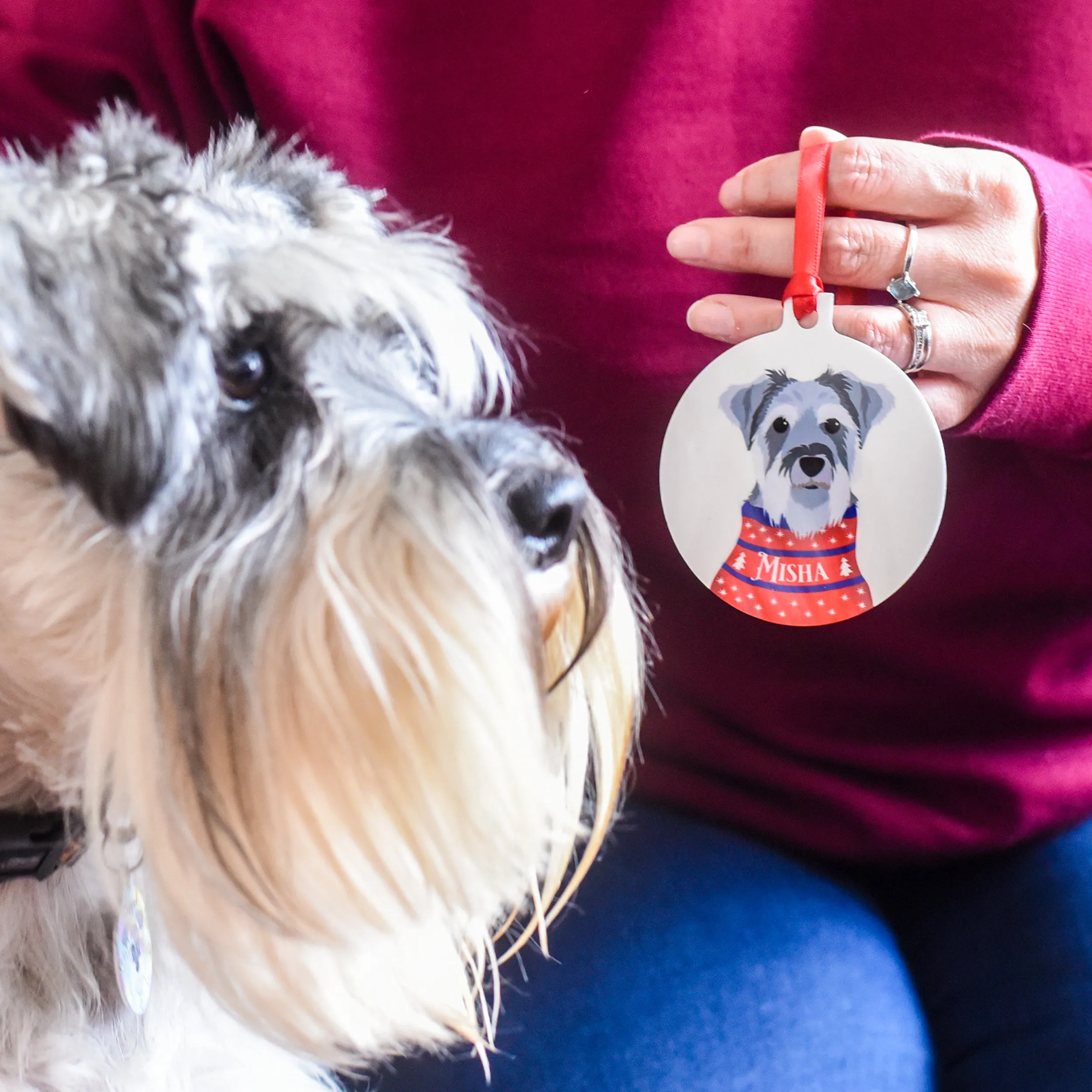 Christmas Jumper Dog Hanging Decoration Personalised