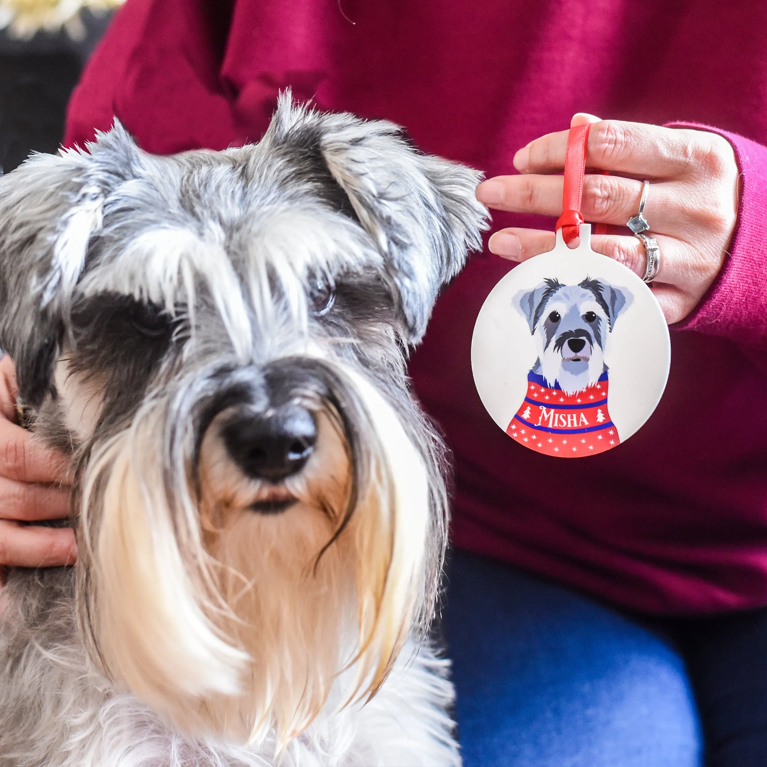 Christmas Jumper Dog Hanging Decoration Personalised