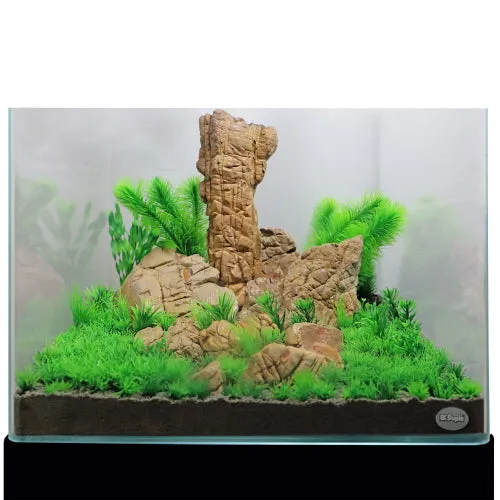CRUSTED ROCK