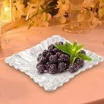 EKAANI PEACOCK SQUARE TRAY MEDIUM | 1141