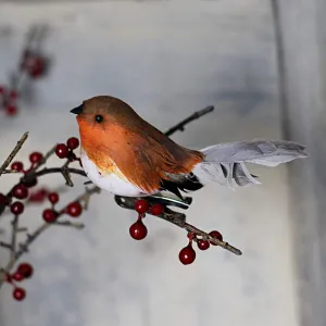 Feather Robin Decoration