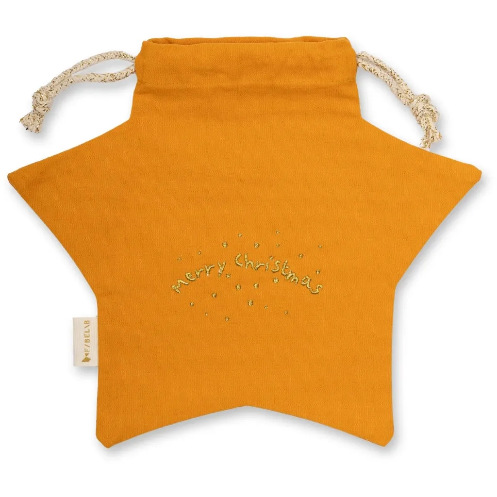Gift Bag - Star
