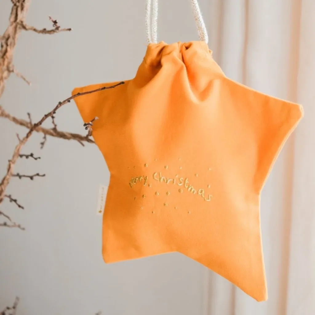 Gift Bag - Star