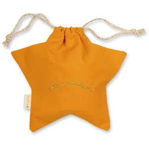 Gift Bag - Star