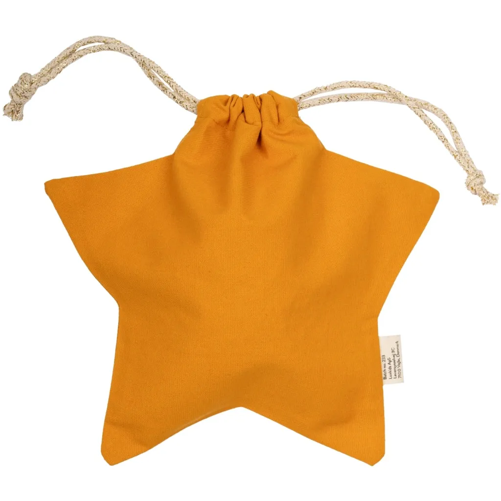 Gift Bag - Star