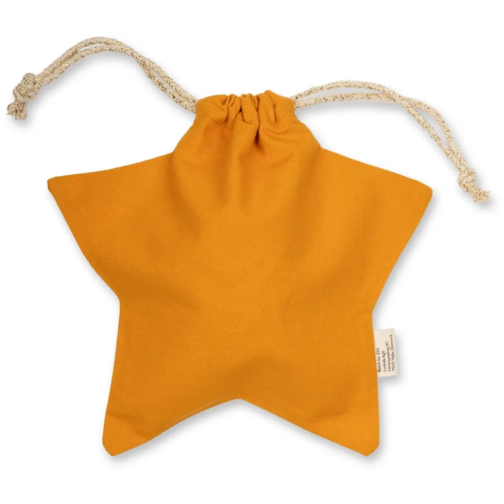 Gift Bag - Star