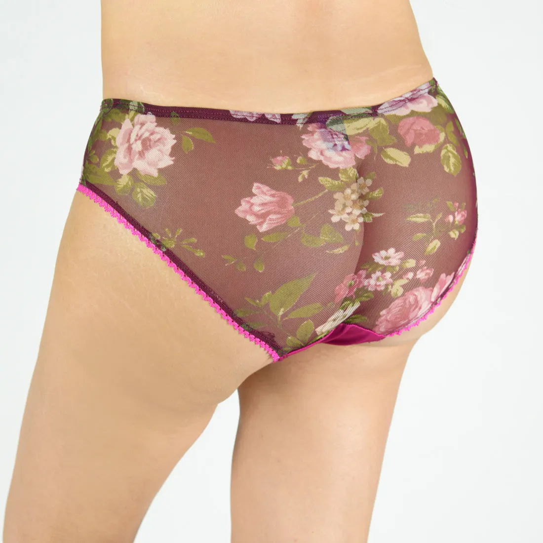 Luxurious Ava Mesh Detail Panty