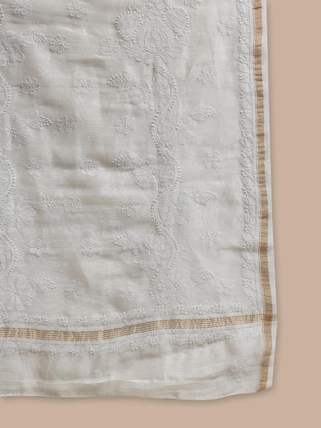 Luxurious Chikankari & Zari Pure Chanderi Silk Saree