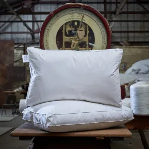 Luxurious Smartdown Pillows