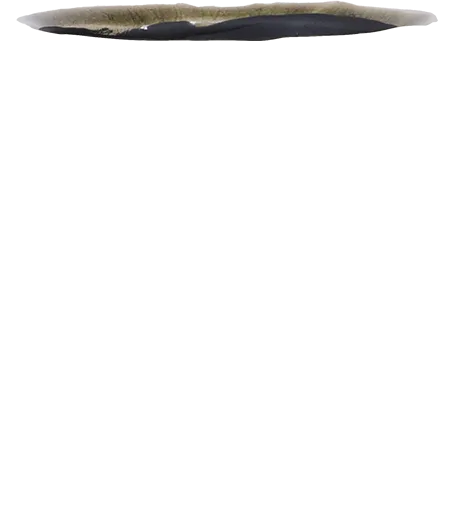 Marlijn (8cm)