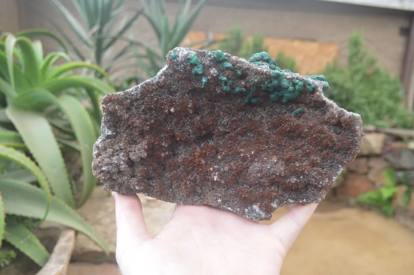 Natural Ball Malachite On Quartz Matrix Specimens x 2 From Mindigi Mine, Congo
