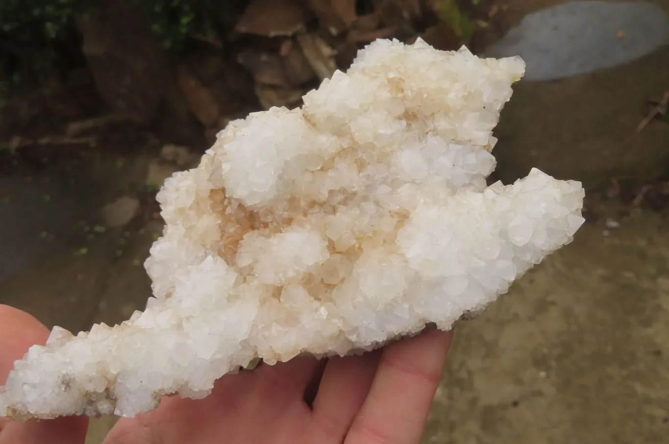 Natural Drusy Quartz Coated Calcite Pseudomorph Specimens x 6 From Alberts Mountain, Lesotho