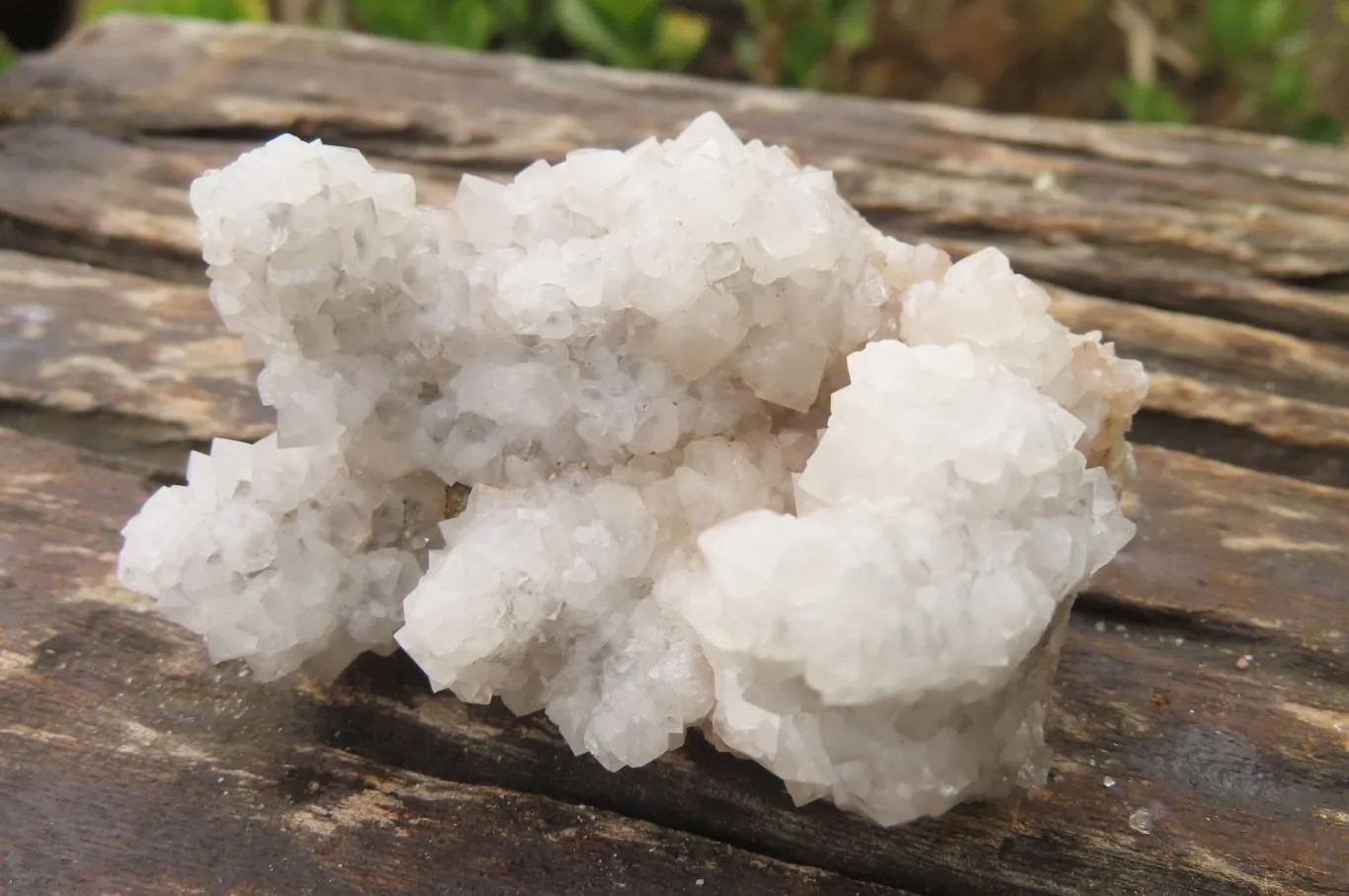 Natural Drusy Quartz Coated Calcite Pseudomorph Specimens x 6 From Alberts Mountain, Lesotho