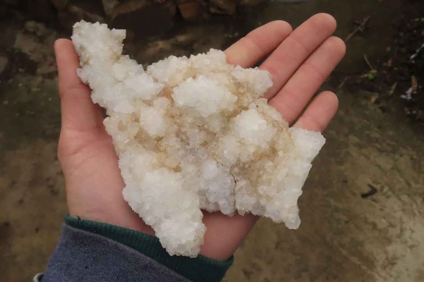 Natural Drusy Quartz Coated Calcite Pseudomorph Specimens x 6 From Alberts Mountain, Lesotho