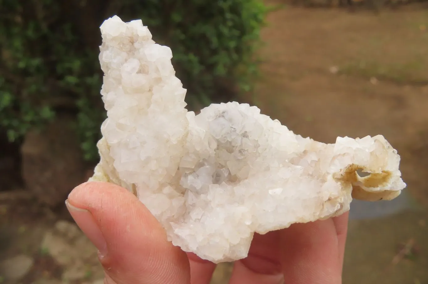Natural Drusy Quartz Coated Calcite Pseudomorph Specimens x 6 From Alberts Mountain, Lesotho