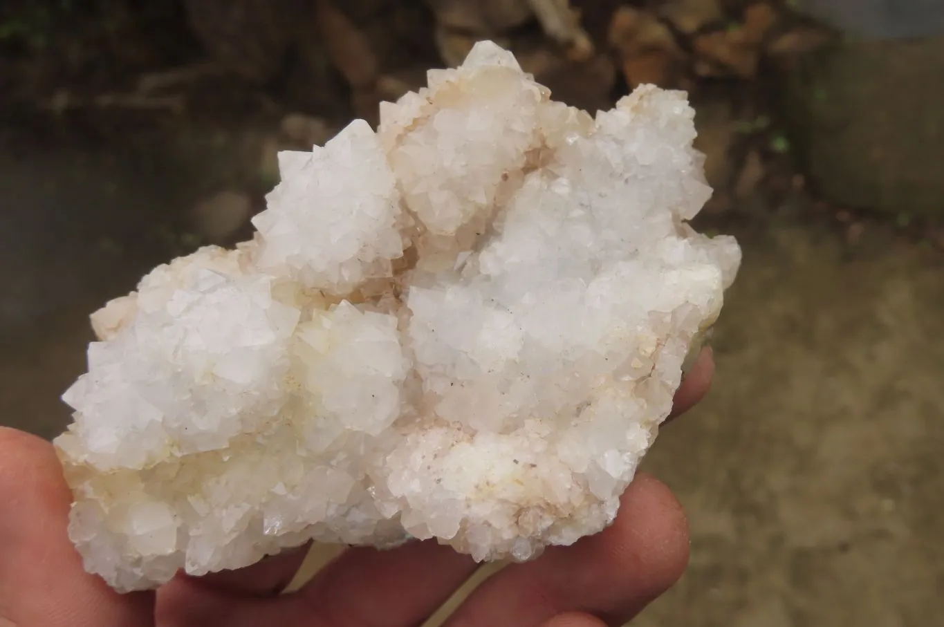 Natural Drusy Quartz Coated Calcite Pseudomorph Specimens x 6 From Alberts Mountain, Lesotho
