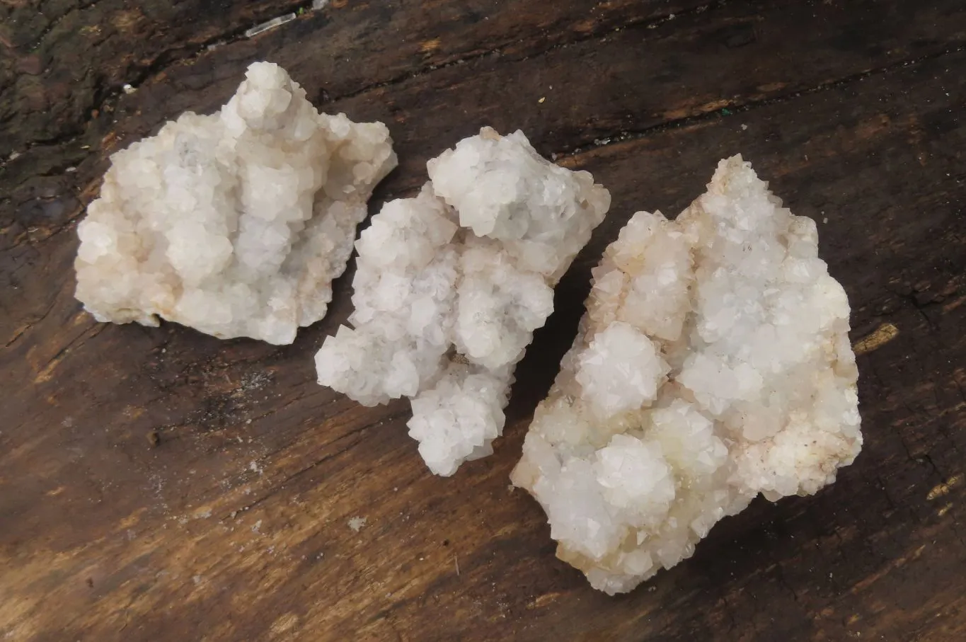 Natural Drusy Quartz Coated Calcite Pseudomorph Specimens x 6 From Alberts Mountain, Lesotho