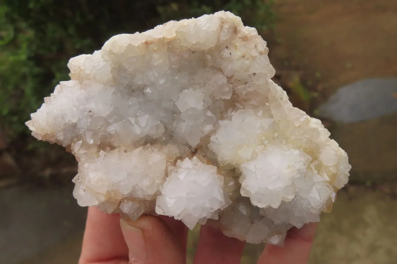 Natural Drusy Quartz Coated Calcite Pseudomorph Specimens x 6 From Alberts Mountain, Lesotho