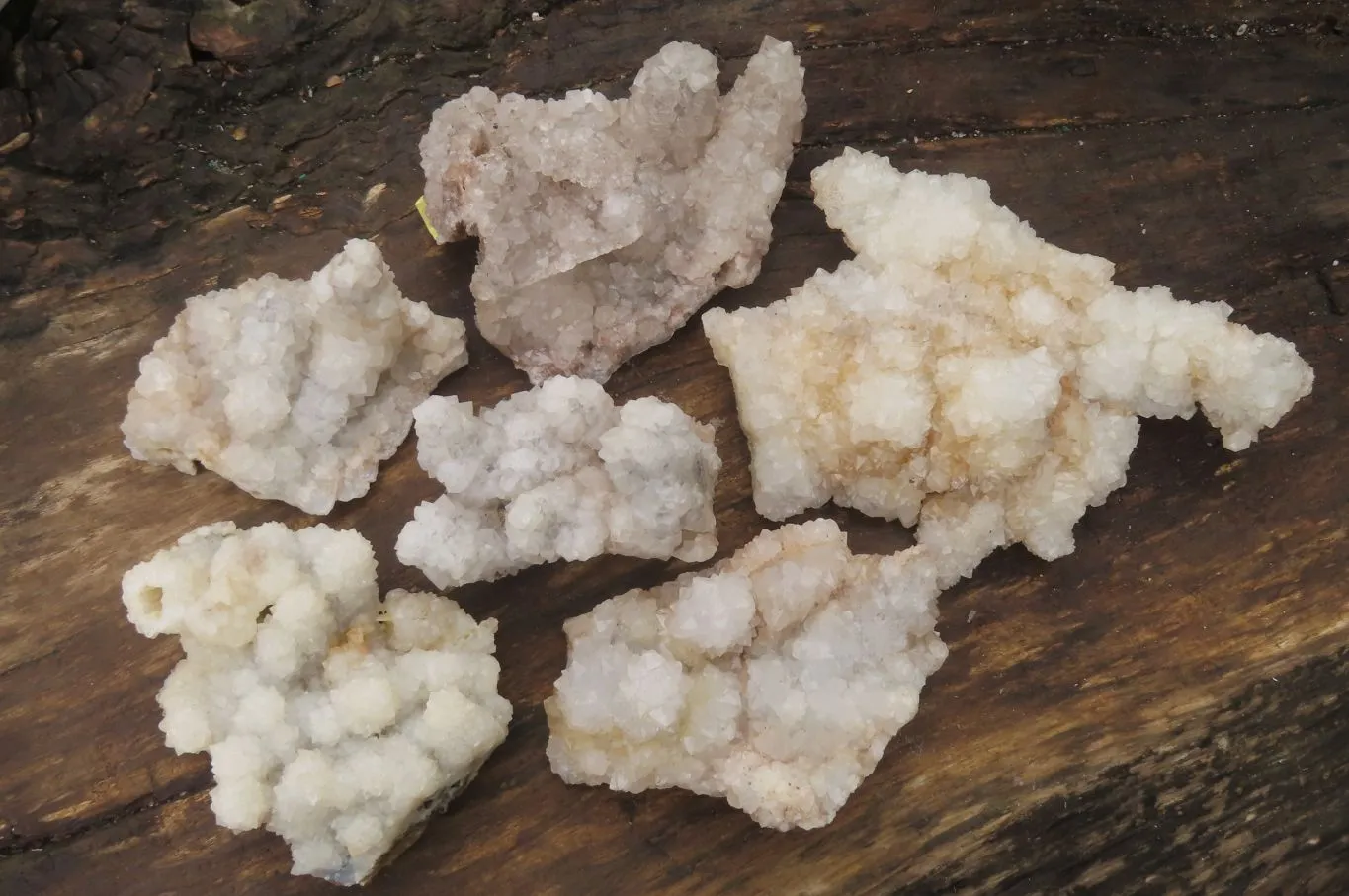 Natural Drusy Quartz Coated Calcite Pseudomorph Specimens x 6 From Alberts Mountain, Lesotho