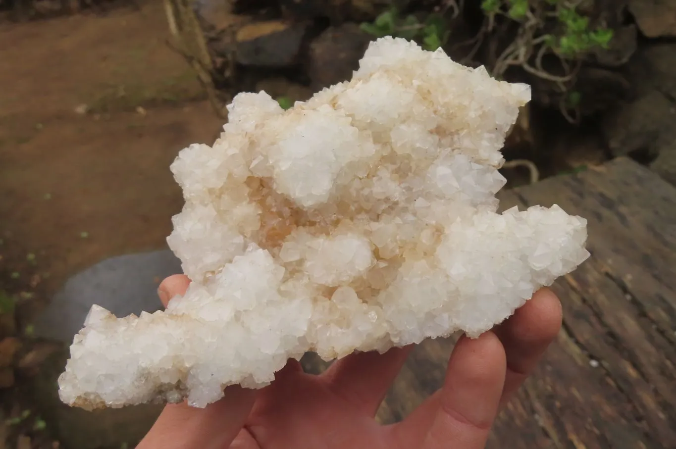 Natural Drusy Quartz Coated Calcite Pseudomorph Specimens x 6 From Alberts Mountain, Lesotho