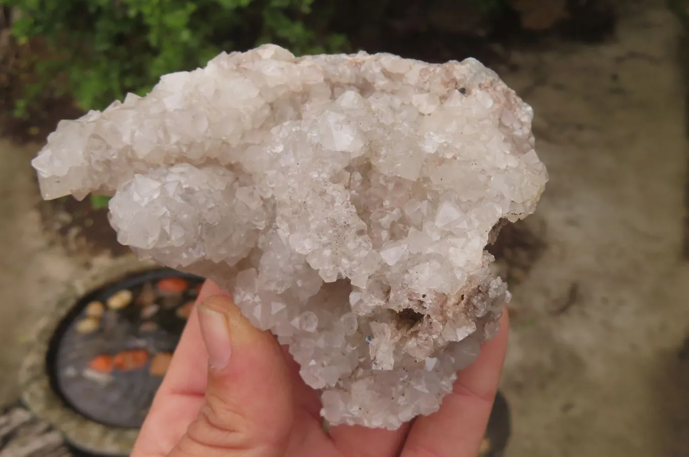 Natural Drusy Quartz Coated Calcite Pseudomorph Specimens x 6 From Alberts Mountain, Lesotho