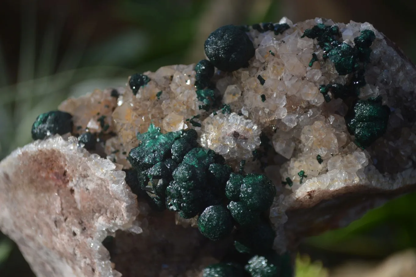 Natural Rare Ball Malachite On Drusy Quartz & Dolomite Matrix  x 1 From Congo