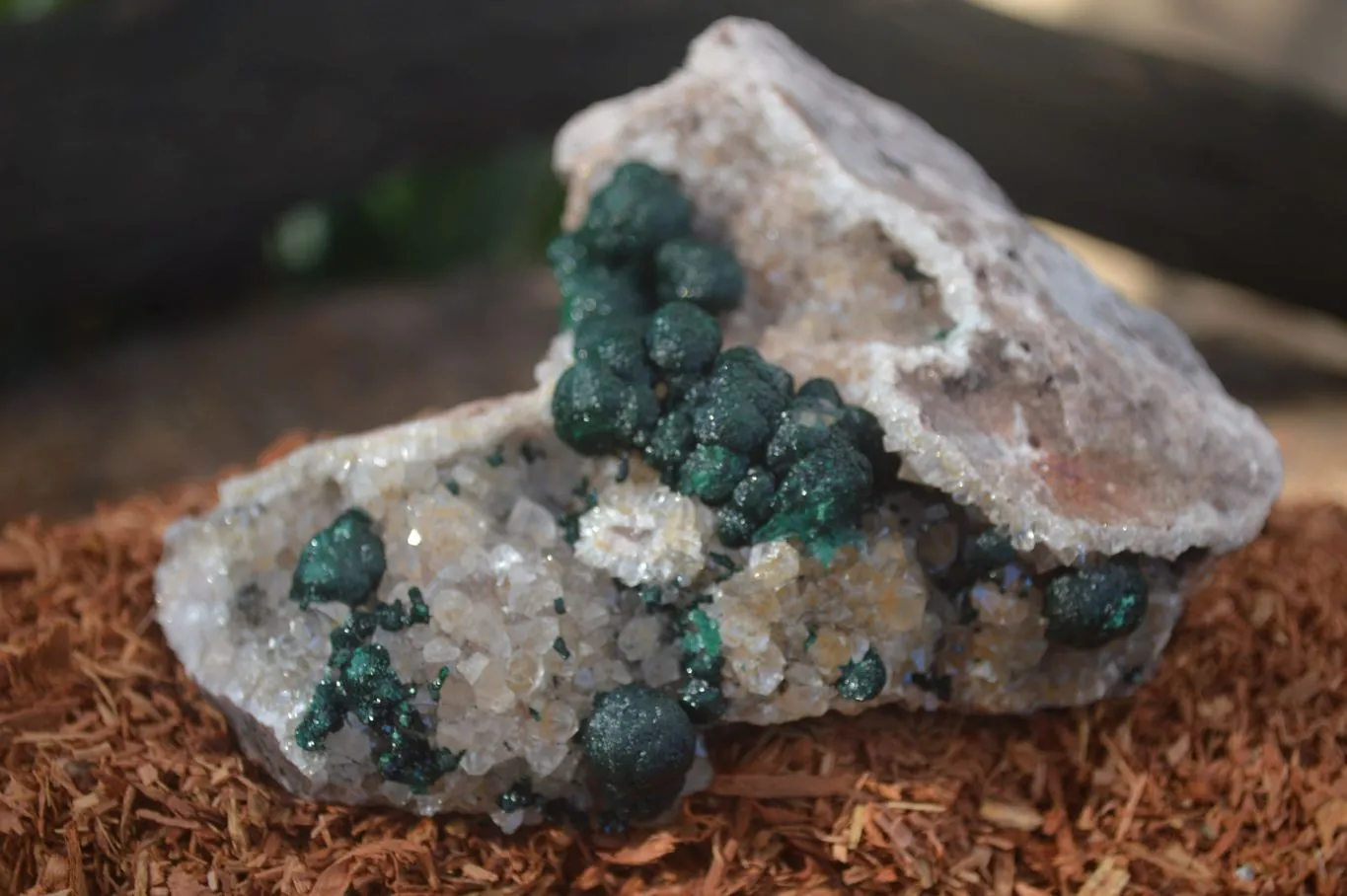 Natural Rare Ball Malachite On Drusy Quartz & Dolomite Matrix  x 1 From Congo