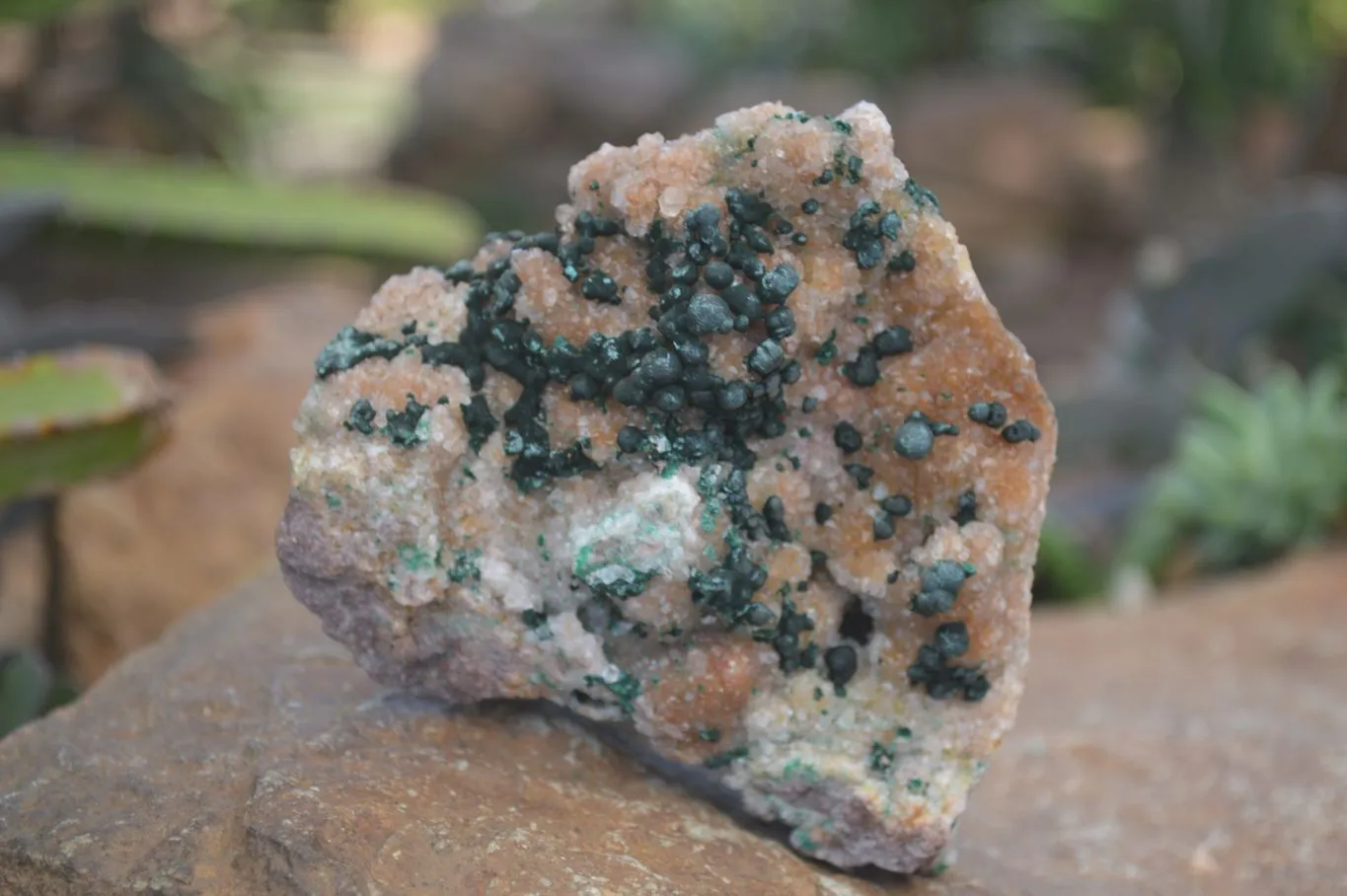 Natural Rare Ball Malachite On Drusy Quartz & Dolomite Matrix  x 2 From Kambove, Congo