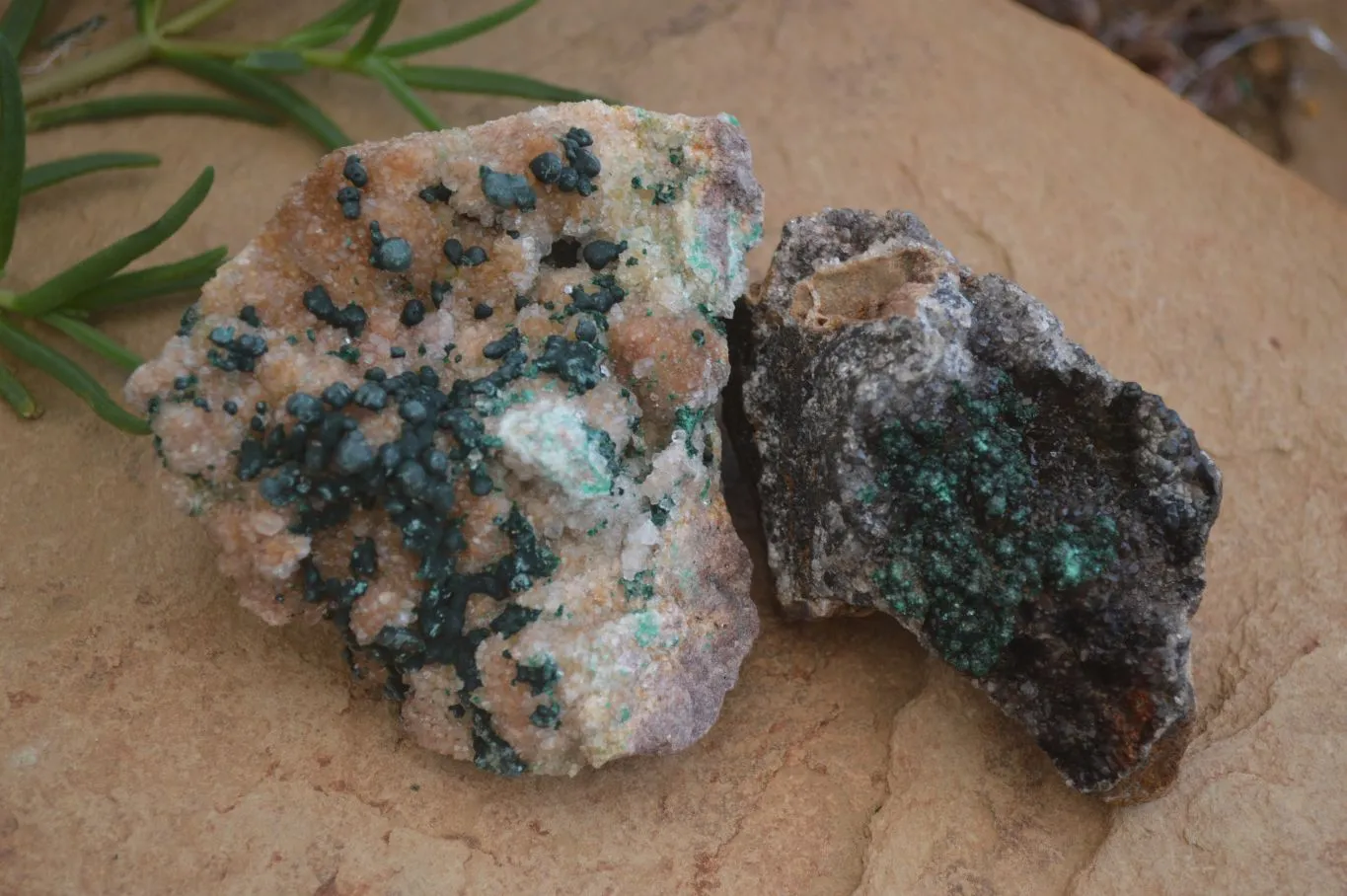 Natural Rare Ball Malachite On Drusy Quartz & Dolomite Matrix  x 2 From Kambove, Congo