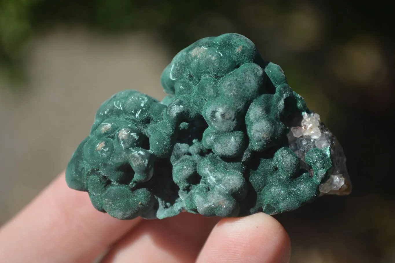 Natural Rare Ball Malachite On Drusy Quartz & Dolomite Matrix  x 6 From Kambove, Congo