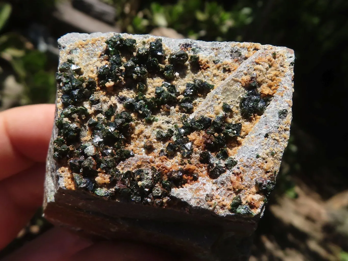 Natural Rare Libethenite Crystal Specimens x 6 From Congo