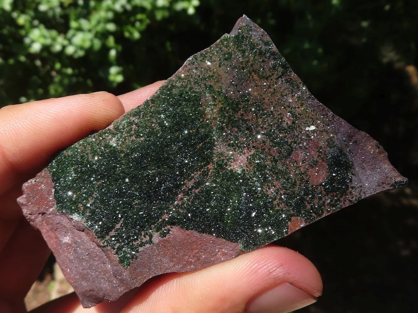 Natural Rare Libethenite Crystal Specimens x 6 From Congo