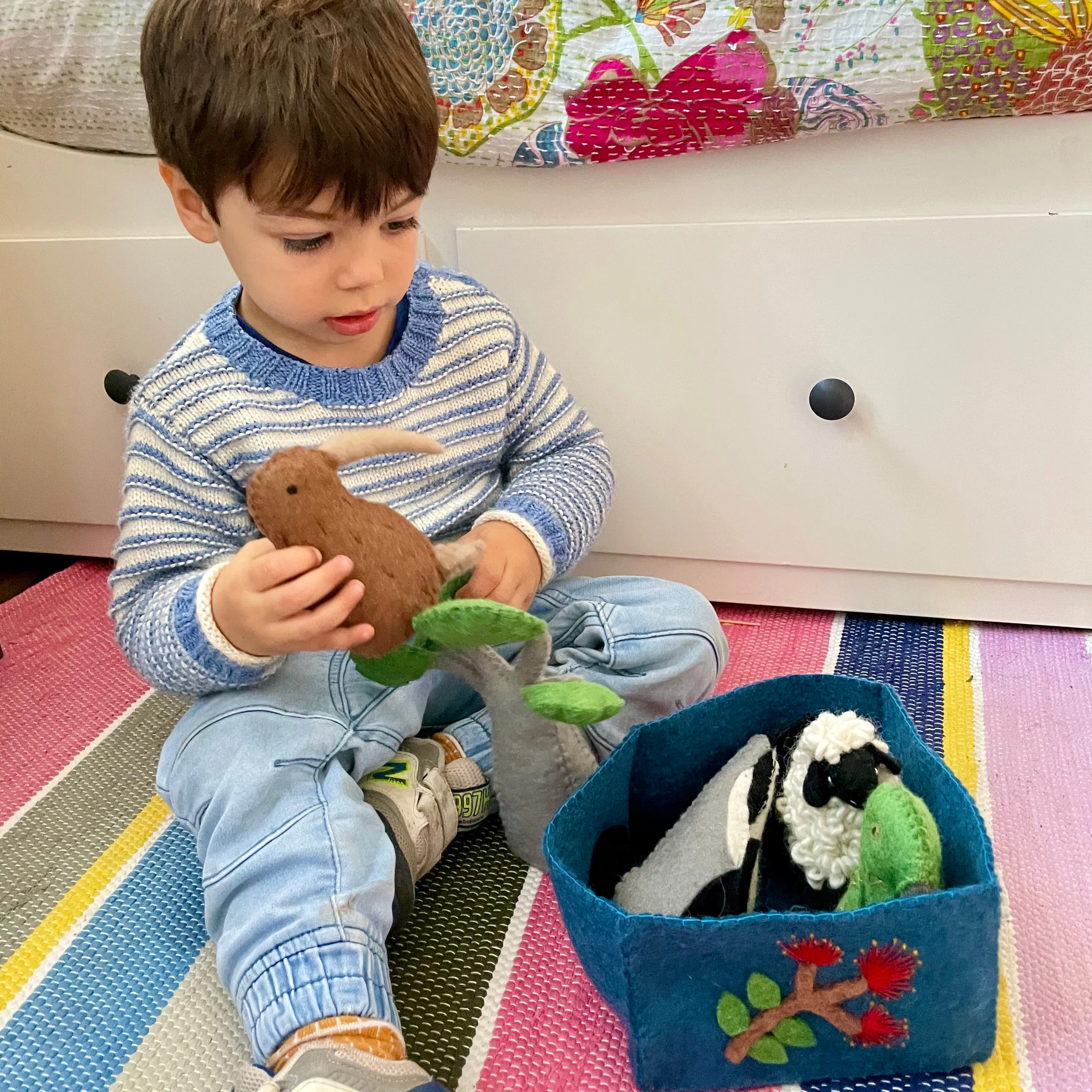 New Zealand Kiwi Play Set