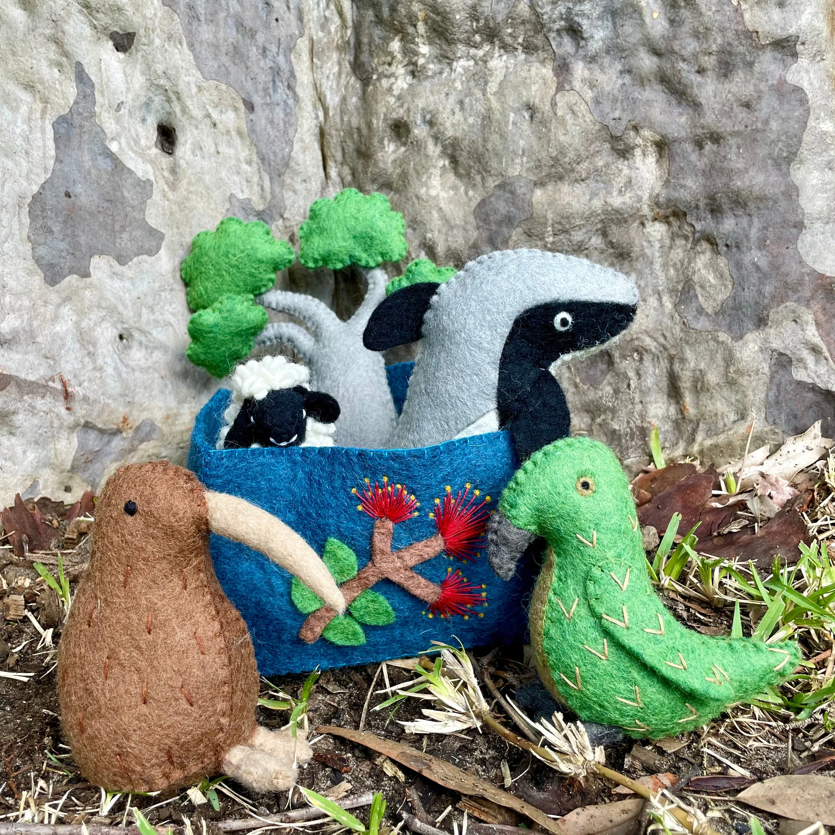 New Zealand Kiwi Play Set