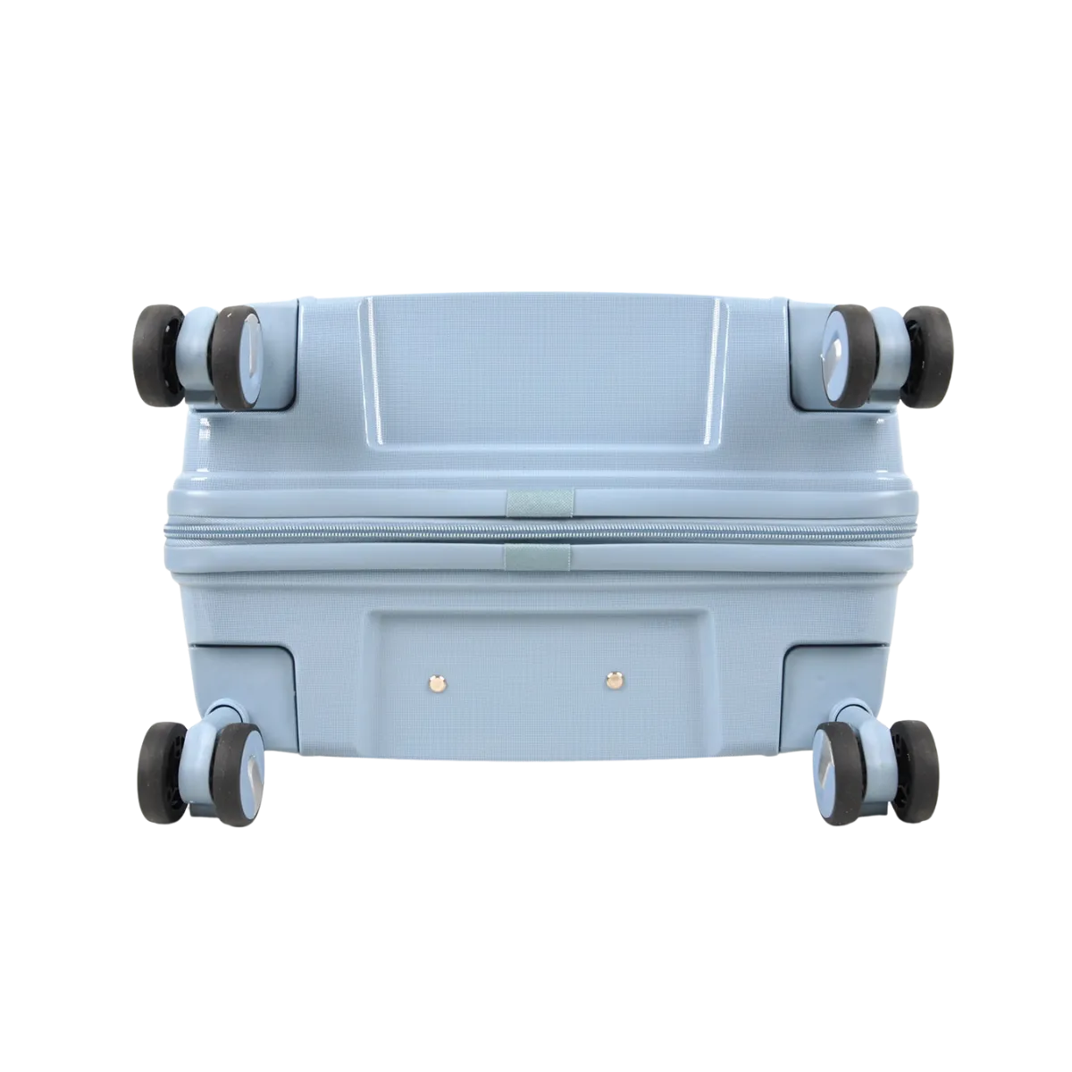Pegion