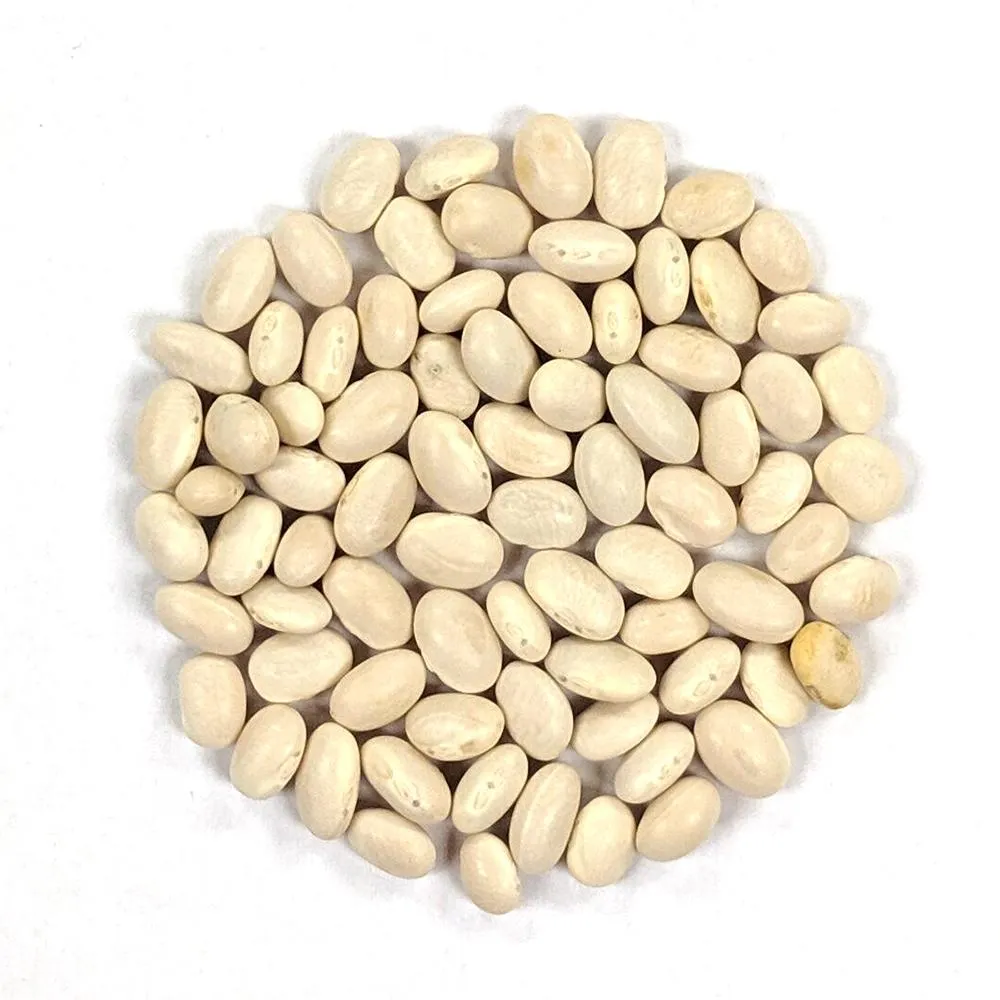 Pole Bean Seeds - Mountaineer White Half Runner
