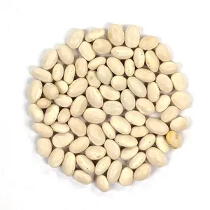 Pole Bean Seeds - Mountaineer White Half Runner